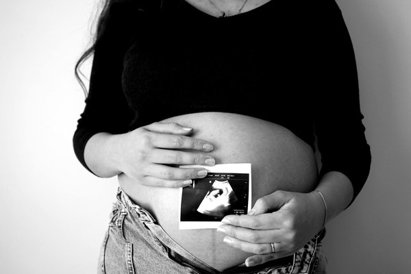 Tout savoir sur la graine orange bud : culture, arômes et atouts