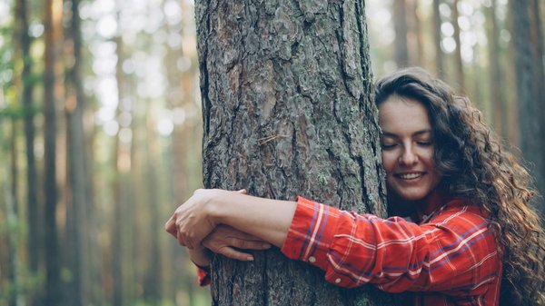 Câlin aux arbres : renouez avec la nature et votre bien-être